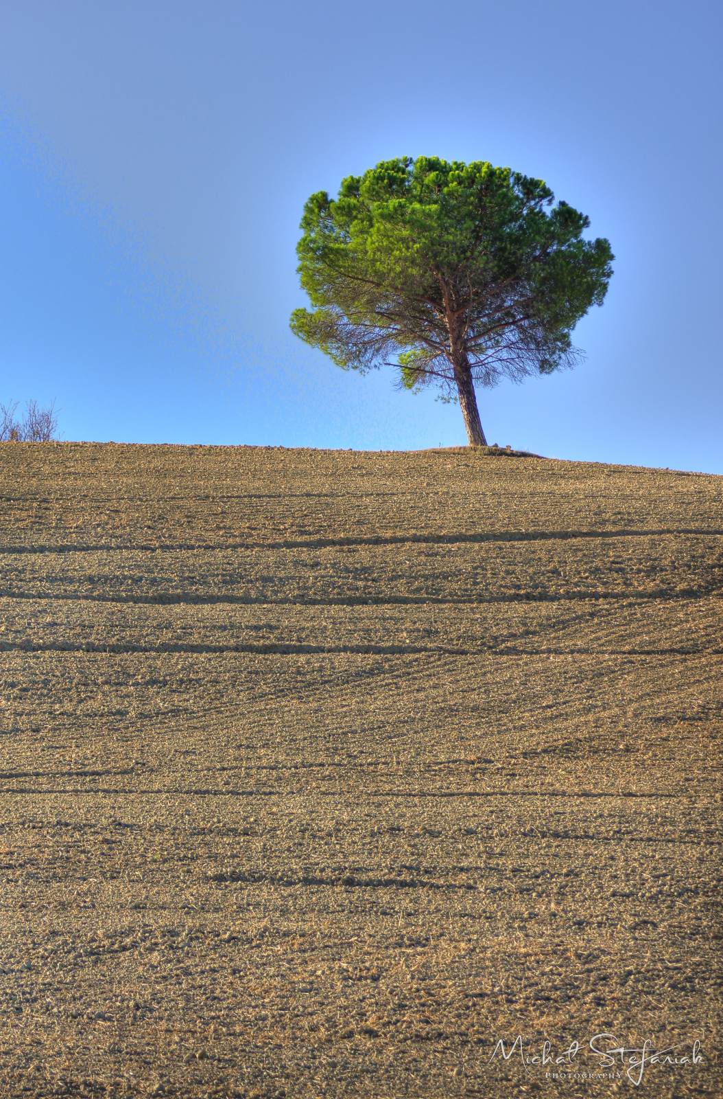 IMG 5110 IMG 5094 5 6Enhancer